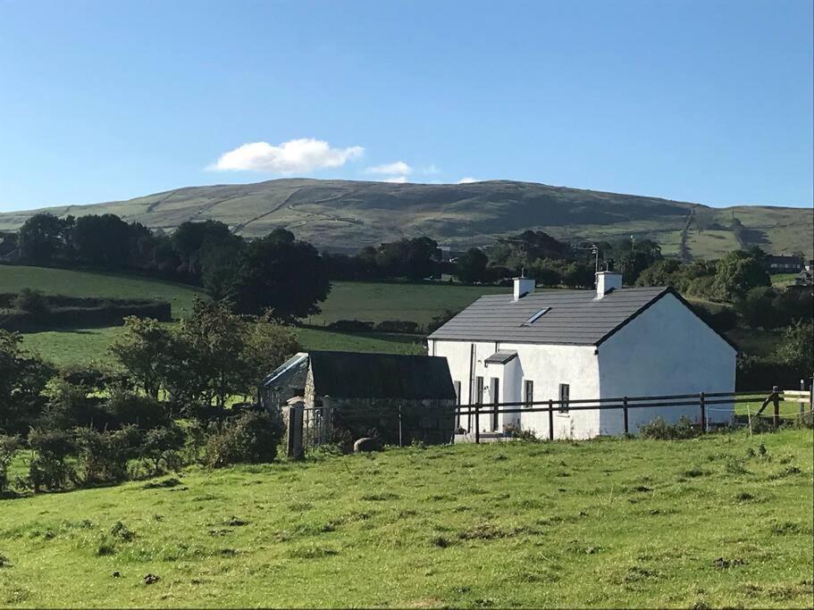 Mournes Family Cottage With Hot Tub Hilltown Kültér fotó