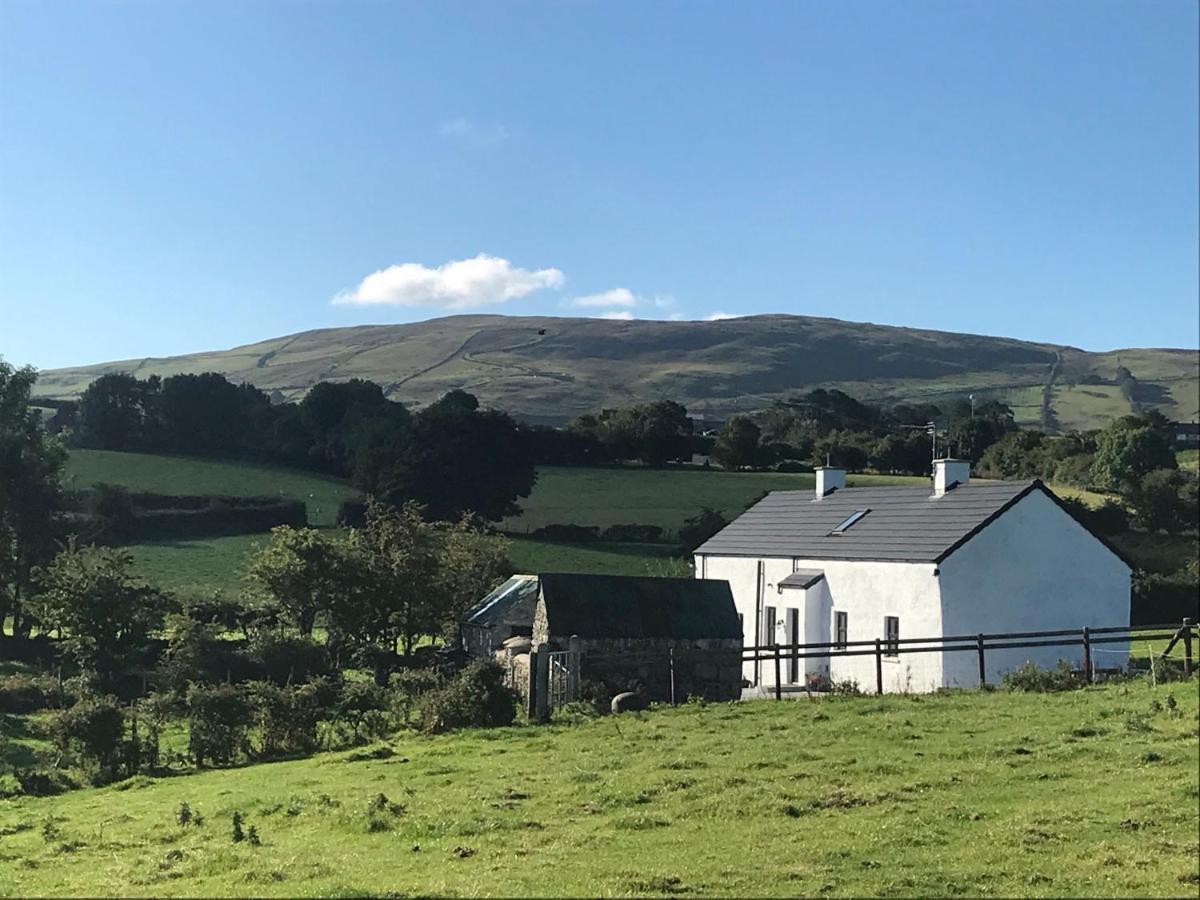 Mournes Family Cottage With Hot Tub Hilltown Kültér fotó